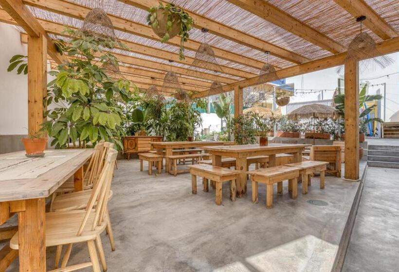 هاستل Selina Boavista Ericeira