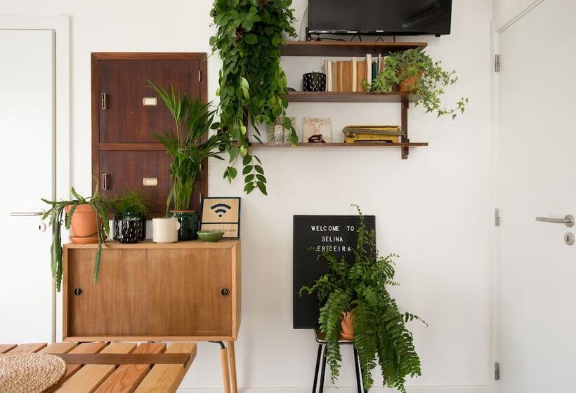 هاستل Selina Boavista Ericeira