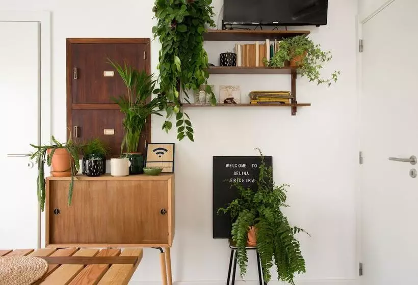 Retkeilymaja Selina Boavista Ericeira