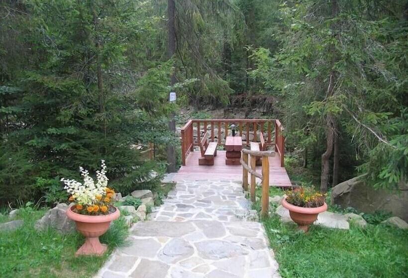 פנסיון Willa Zarębek