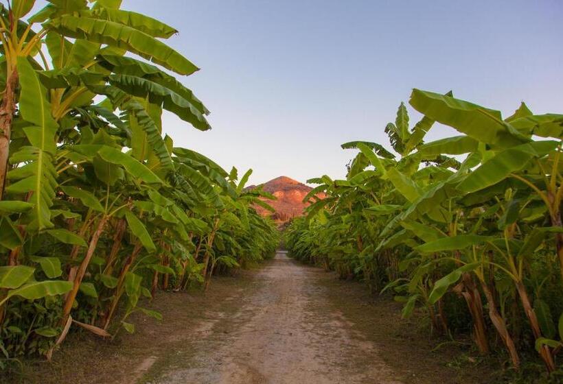 فندق ريفى Rosmarino Park