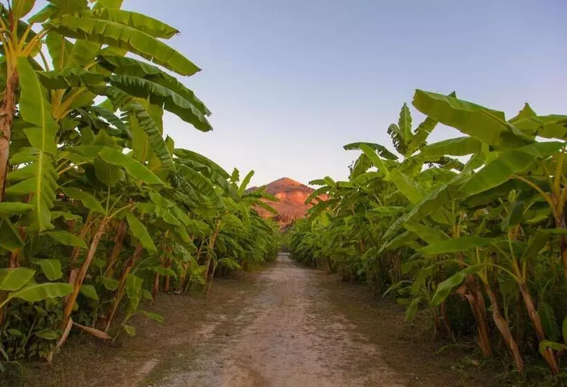田舎風ホテル Rosmarino Park
