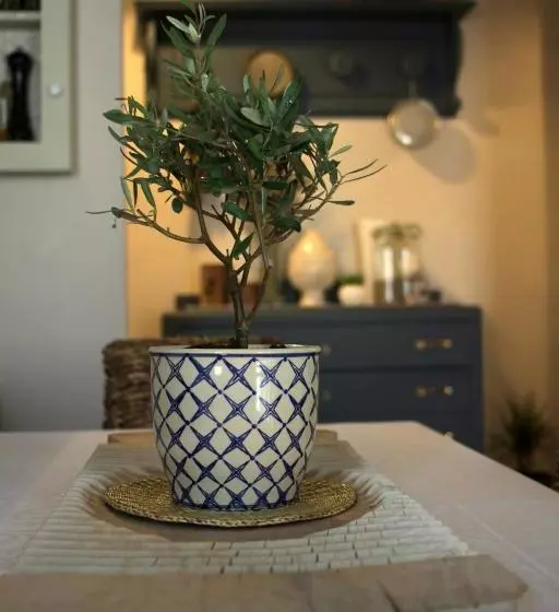 B&b La Casa Pugliese
