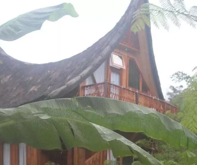 Aamiaismajoitus (B&B) Padi Ecolodge