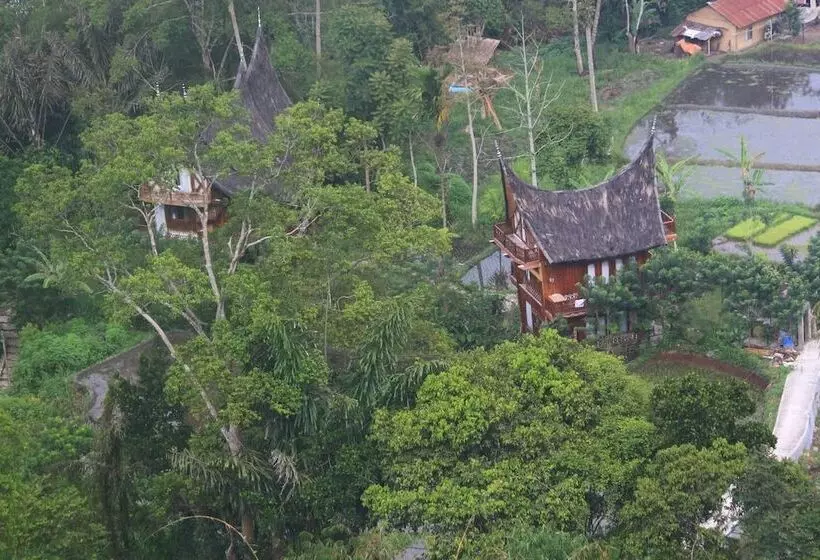 Aamiaismajoitus (B&B) Padi Ecolodge