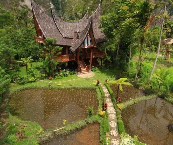 Aamiaismajoitus (B&B) Padi Ecolodge