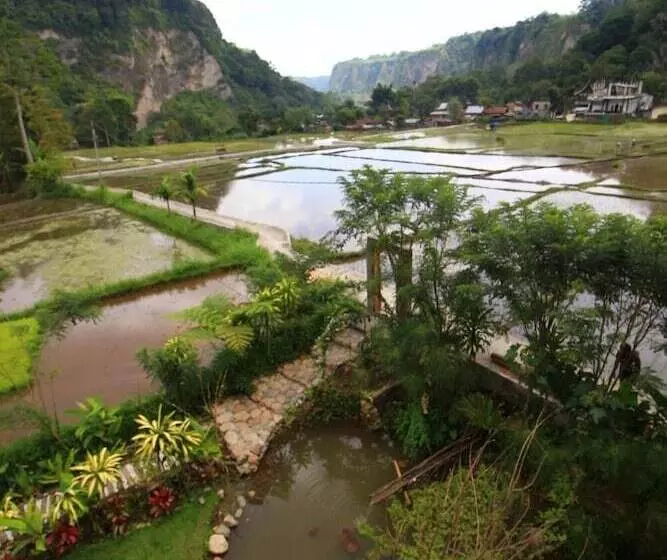 Aamiaismajoitus (B&B) Padi Ecolodge