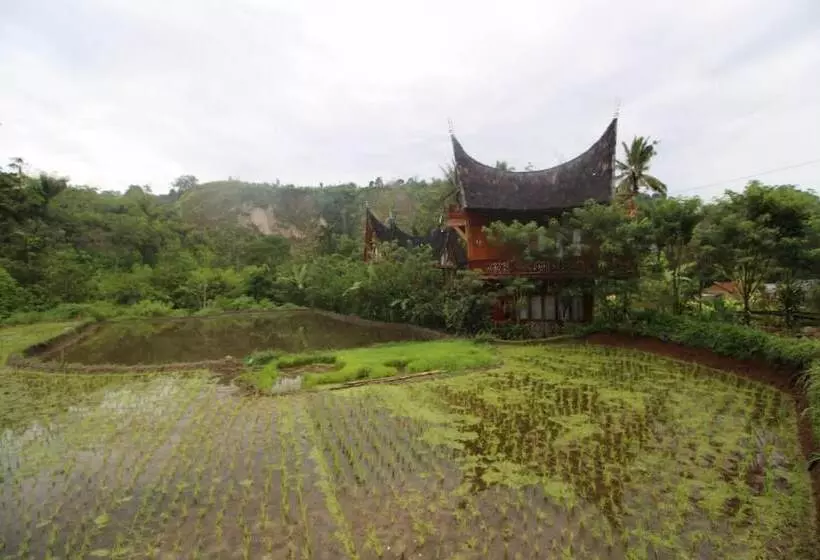 Aamiaismajoitus (B&B) Padi Ecolodge
