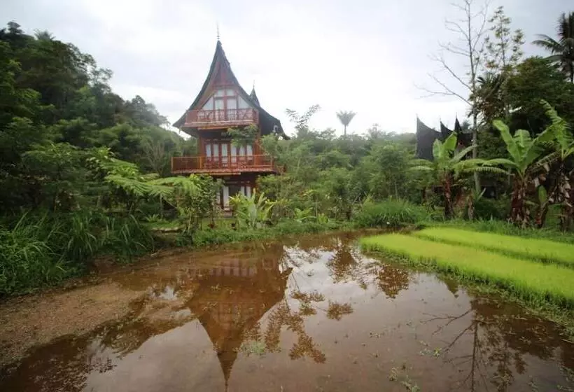 Aamiaismajoitus (B&B) Padi Ecolodge