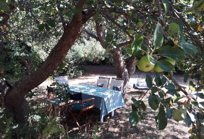 Bella Bed And Breakfast Stevns