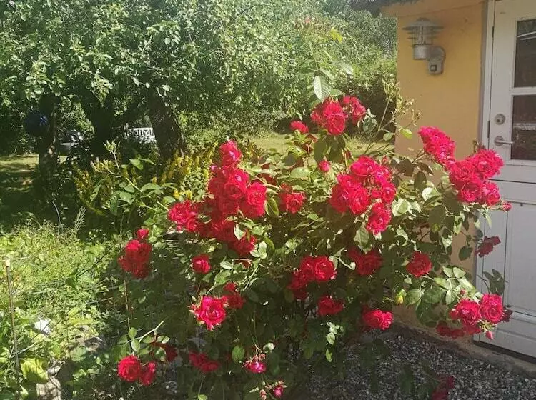 Bella Bed And Breakfast Stevns