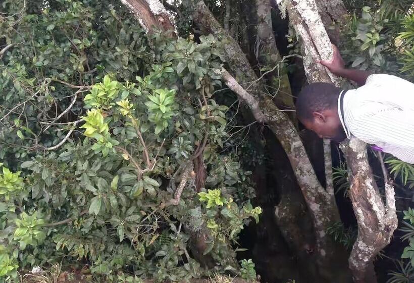 پانسیون Fair Hills Guest House