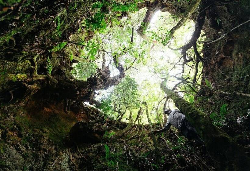 پانسیون Fair Hills Guest House