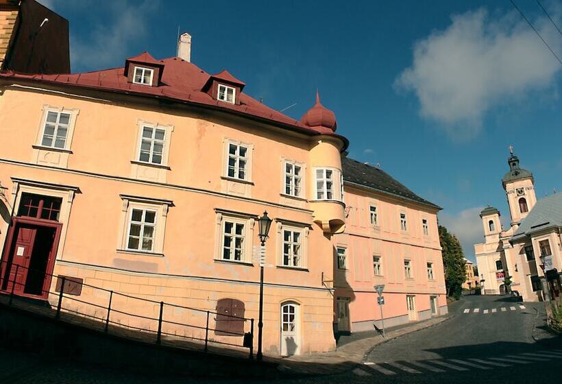 פנסיון Penzion Cosmopolitan Ii