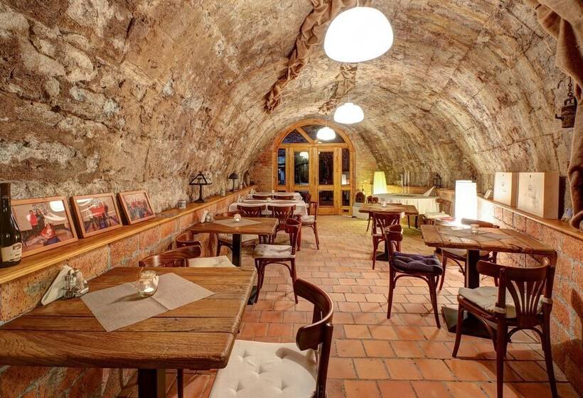 פנסיון Penzion Cosmopolitan Ii