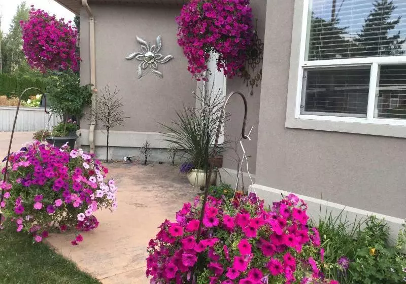 Aamiaismajoitus (B&B) Indiahouse