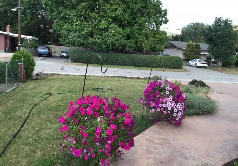 Aamiaismajoitus (B&B) Indiahouse