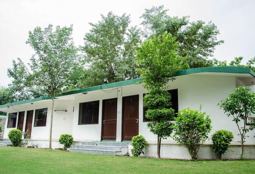 酒店 The Timber Garden Adventure Club