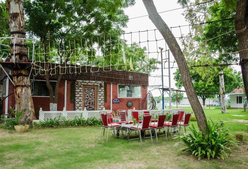 酒店 The Timber Garden Adventure Club