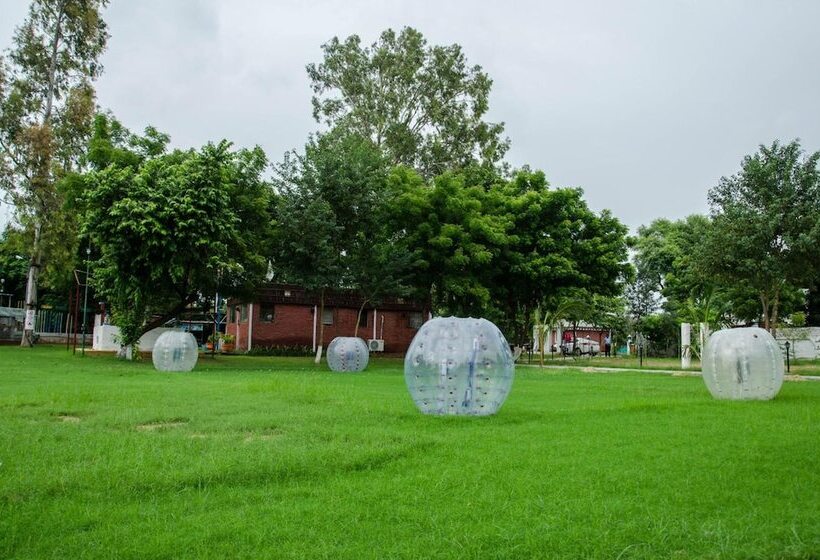 酒店 The Timber Garden Adventure Club