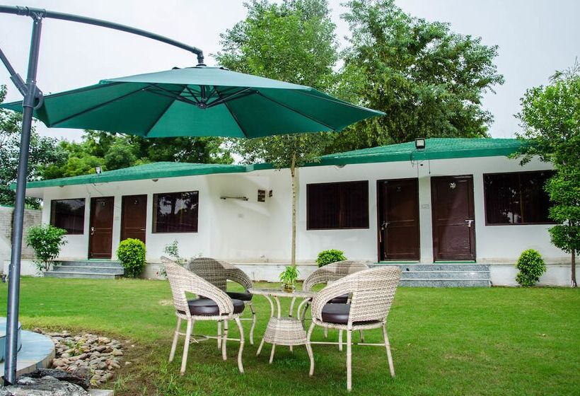 酒店 The Timber Garden Adventure Club