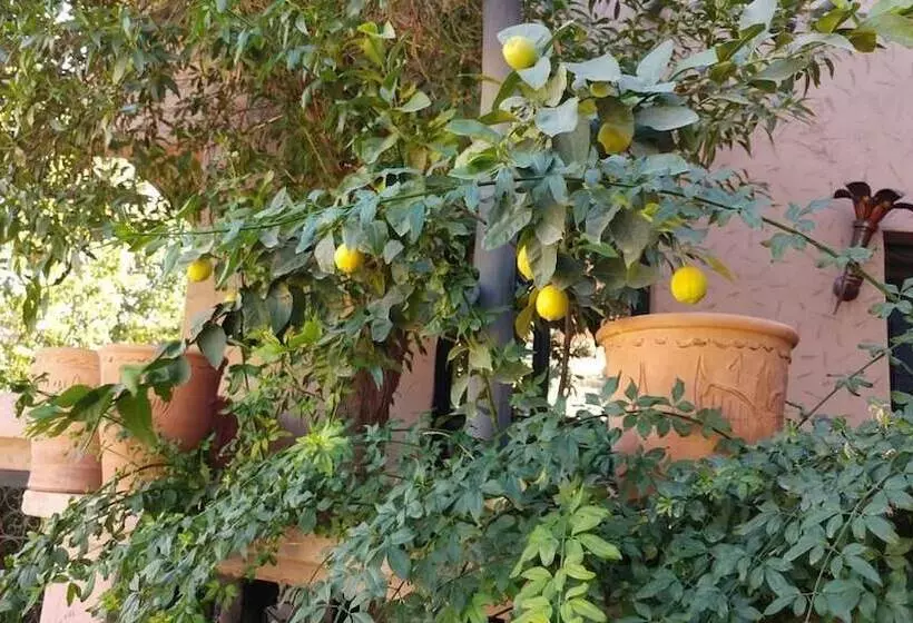 Aamiaismajoitus (B&B) Dar Soulaimane