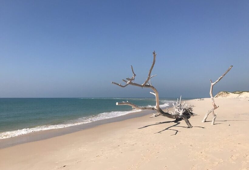 هتل Asdunas Lodge