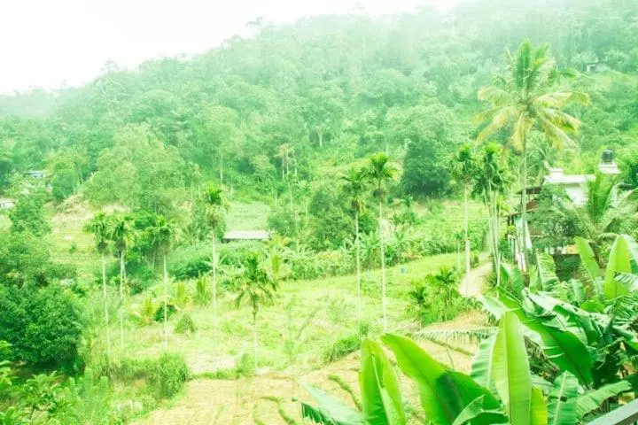 ホテル Mars Wonderland View