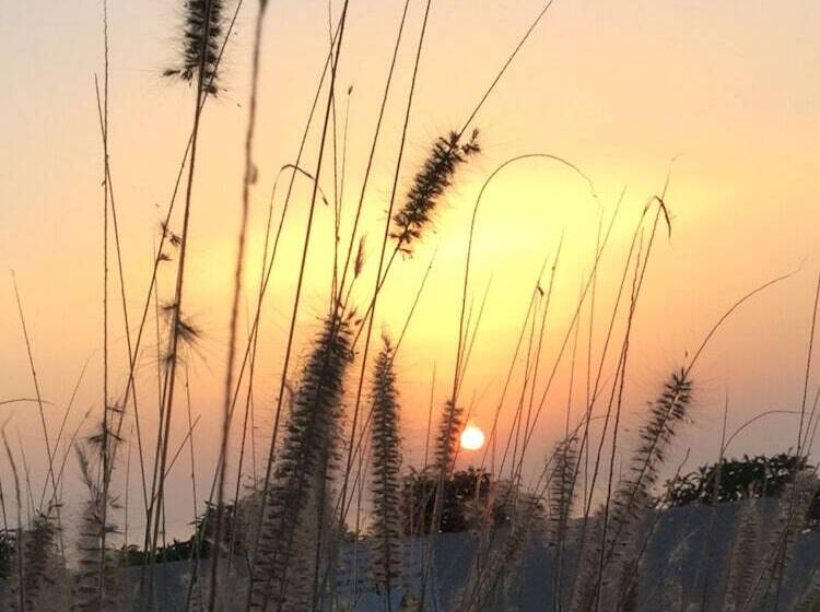 Отель Aftas Trip