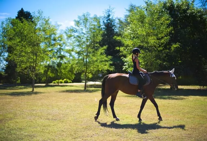 Maaseutuhotelli Società Agricola La Staccionata