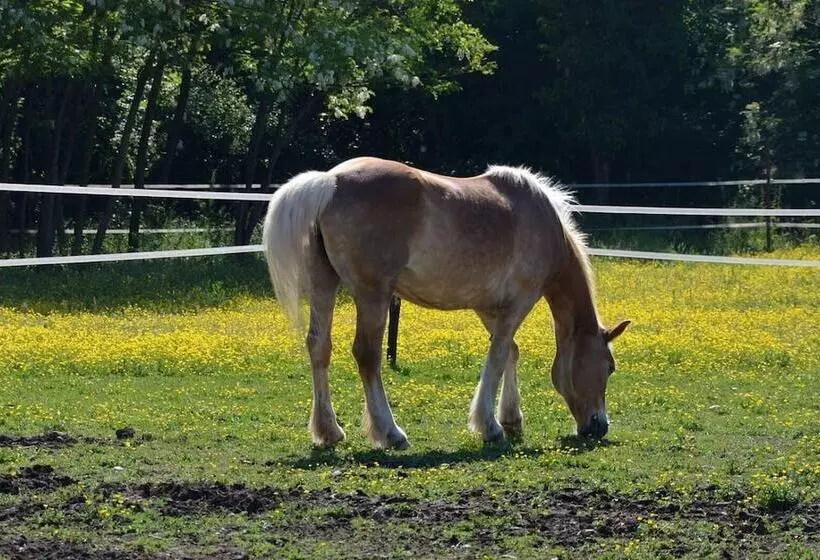 Maaseutuhotelli Società Agricola La Staccionata