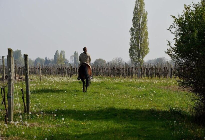 乡村酒店 Società Agricola La Staccionata