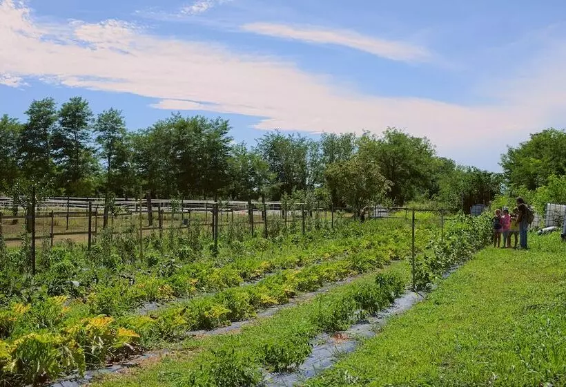 Maaseutuhotelli Società Agricola La Staccionata