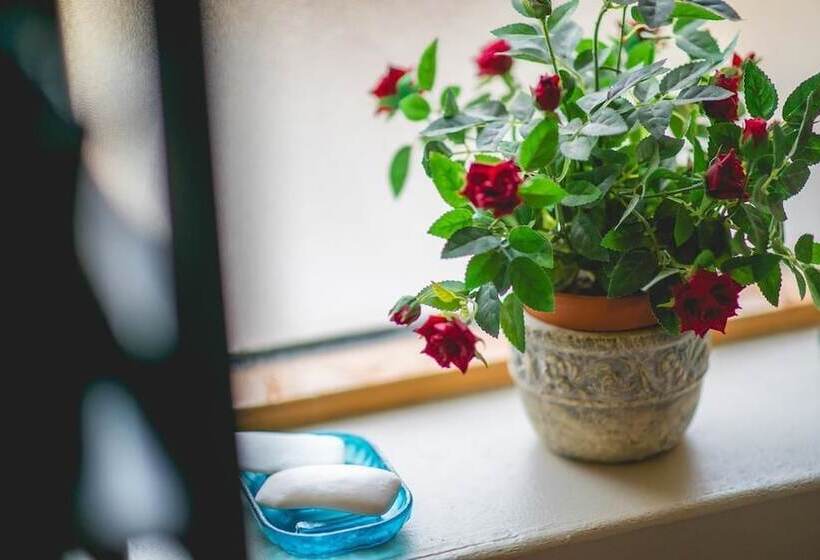 پانسیون Dream Guesthouse