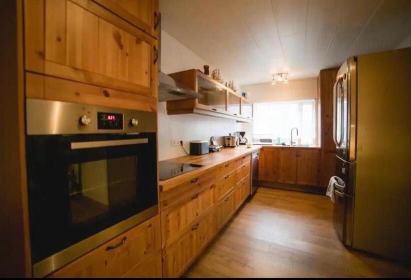 پانسیون Dream Guesthouse