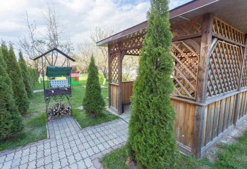 פנסיון Guest House Atlas