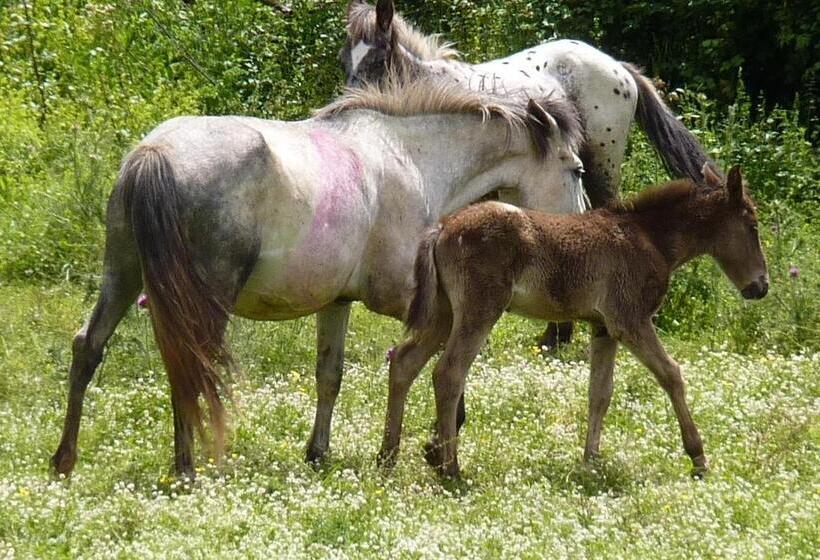 Agriturismo San Lorenzo