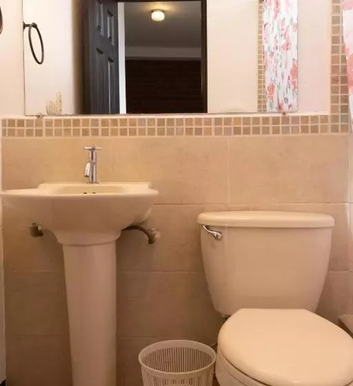 هاستل Lar Antiqua