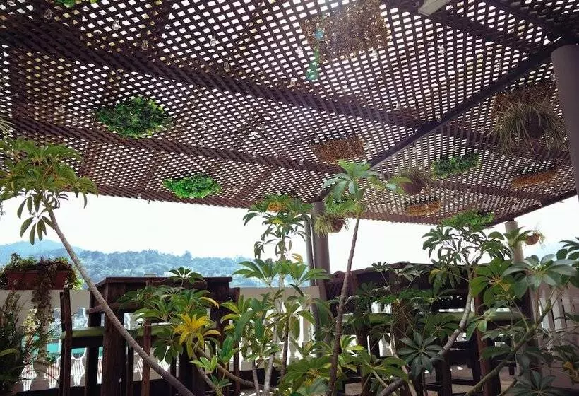 هاستل Lar Antiqua