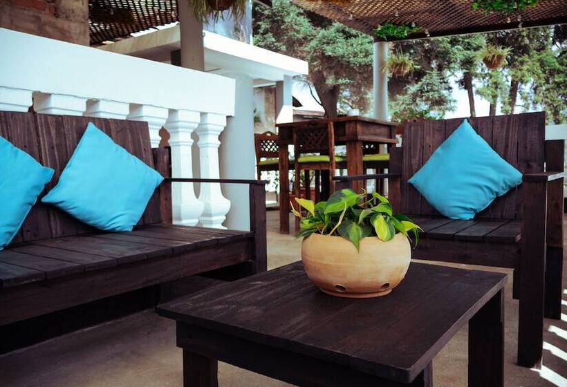 هاستل Lar Antiqua