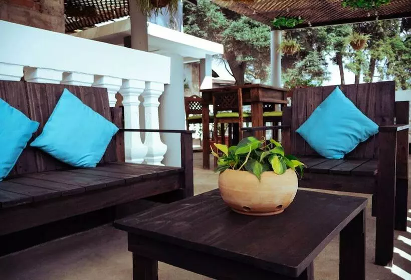 هاستل Lar Antiqua