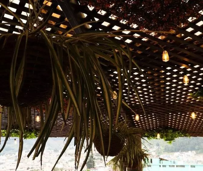 هاستل Lar Antiqua