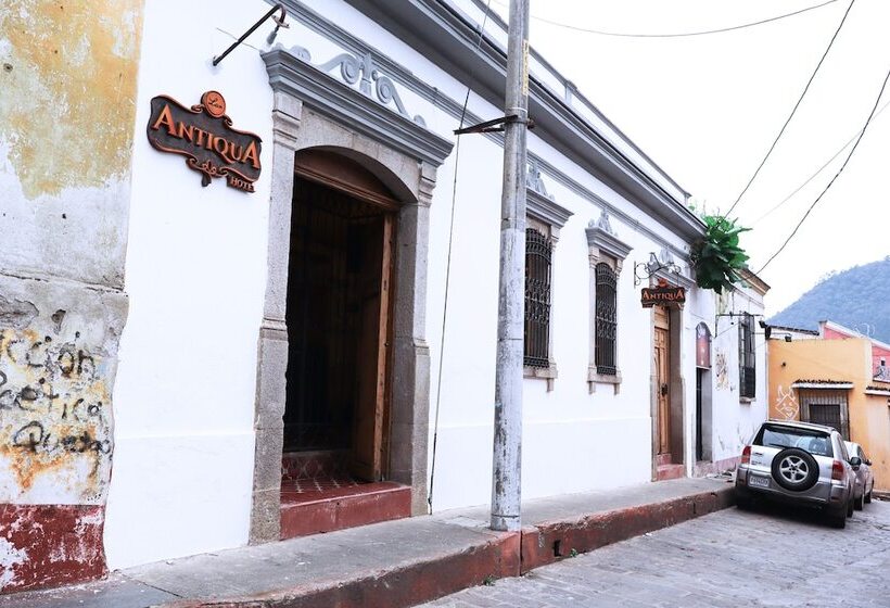 هاستل Lar Antiqua