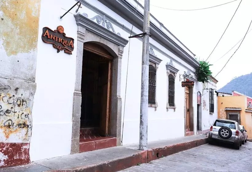 هاستل Lar Antiqua