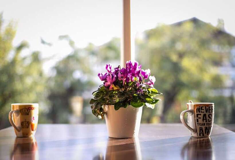 The Holy Rock   Hostel At Meteora