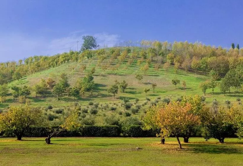 پانسیون Ca  Malvasia   Bolognarooms