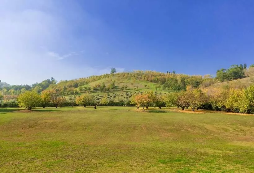 پانسیون Ca  Malvasia   Bolognarooms