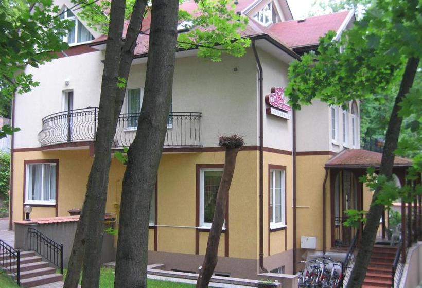 펜션 Flamingo Guest House