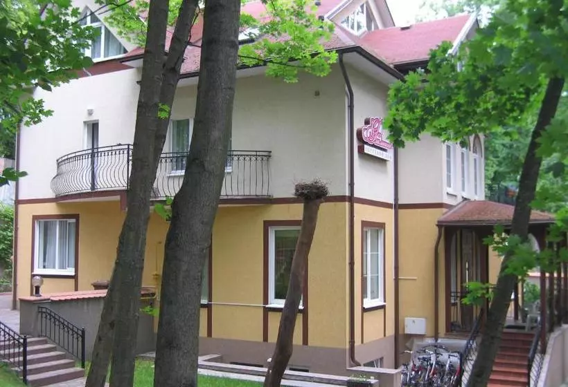 ペンション Flamingo Guest House