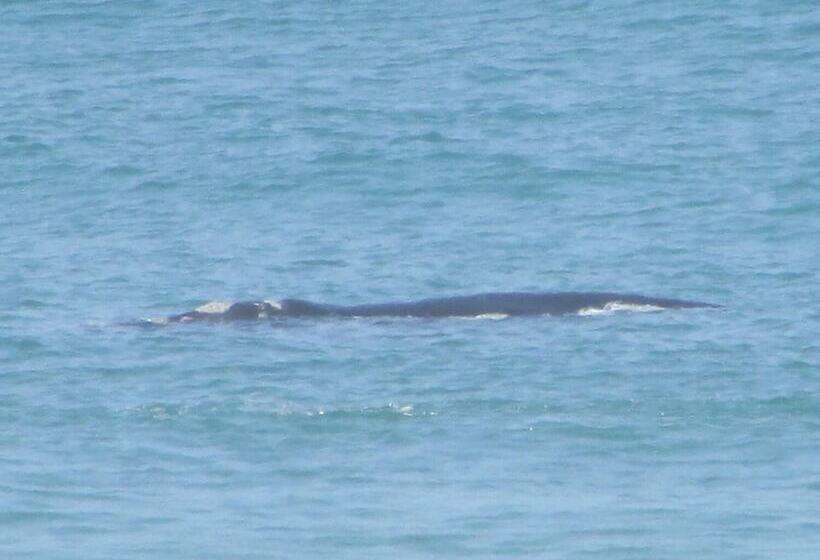 بنسيون Melkhoutkloof Guest House